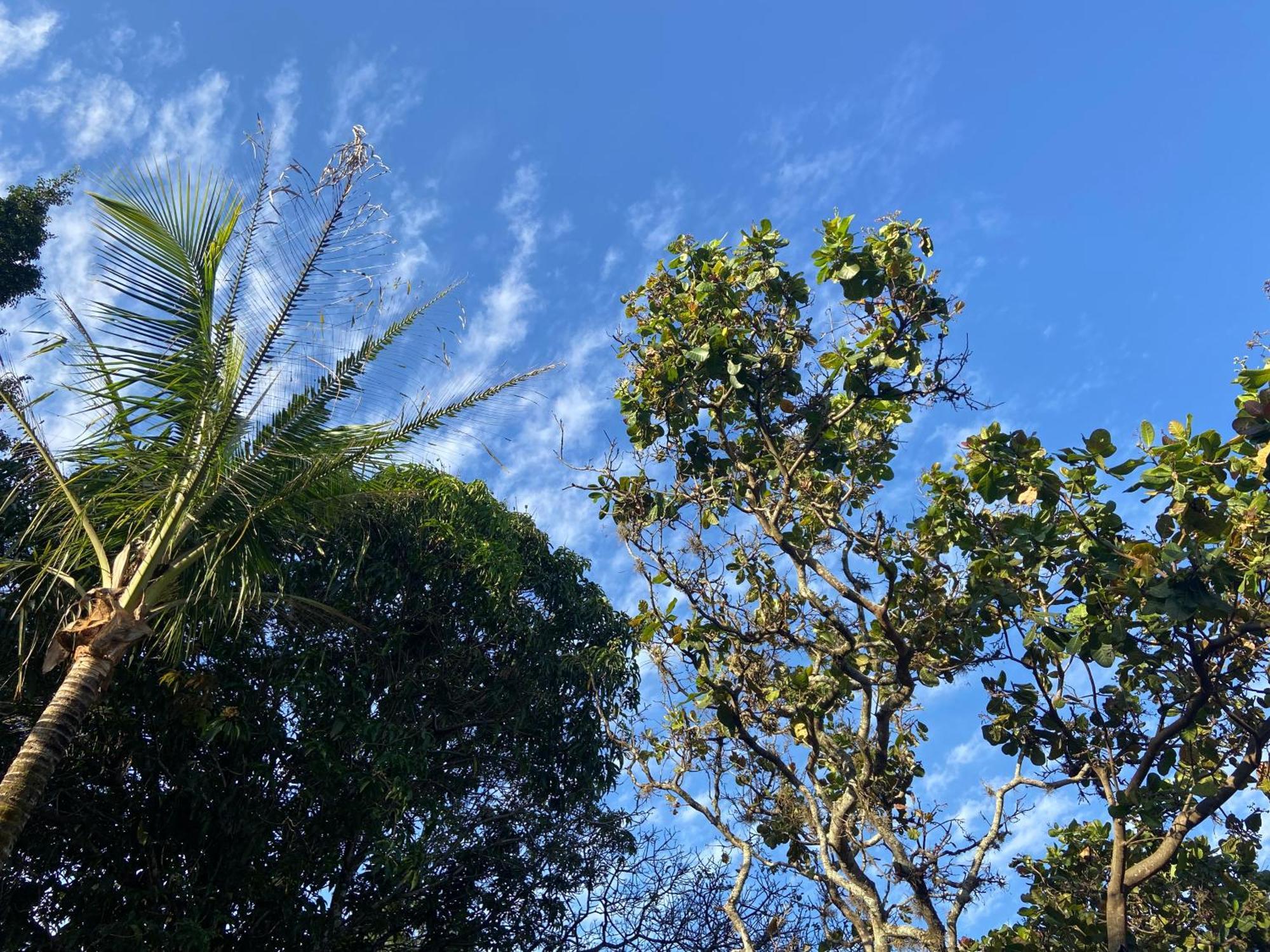 Quarto Privativo Chacara Pe Na Roca Brotas Exteriör bild